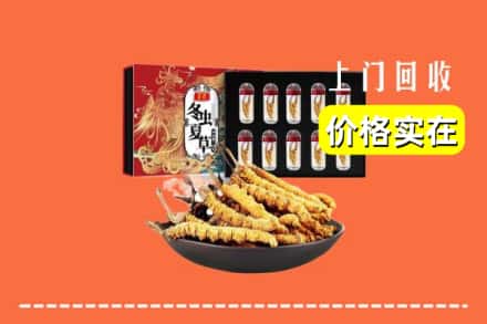 驻马店泌阳县回收冬虫夏草