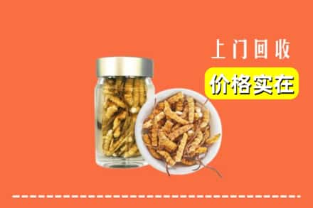 驻马店泌阳县回收散虫草