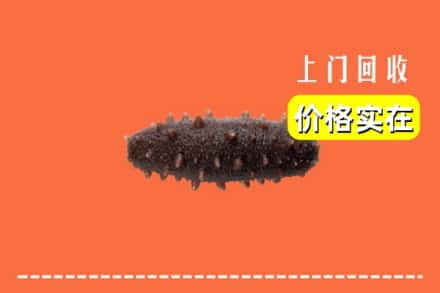 驻马店泌阳县回收海参