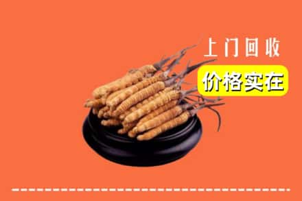 驻马店泌阳县回收冬虫夏草