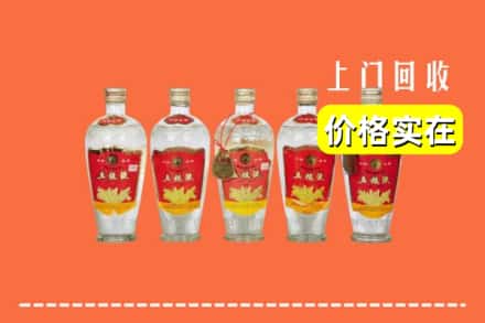 诚信求购:驻马店泌阳县高价回收老五粮液